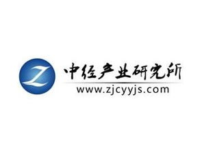 中國網(wǎng)絡(luò)安全市場(chǎng)運(yùn)營形勢(shì)及前景發(fā)展規(guī)劃分析報(bào)告（2018-2020） 聚焦網(wǎng)絡(luò)與信息安全軟件開發(fā)
